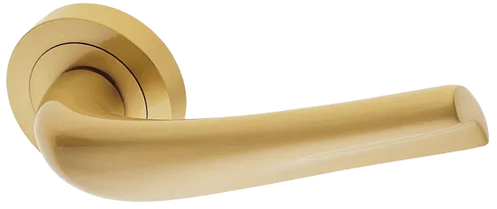 RAFT R2 OSA, ручка дверная, цвет - матовое золото фото купить Актау